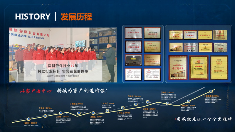 Development History