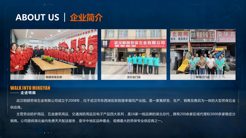 Company Introduction